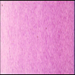 031 – Violet de cobalt clair