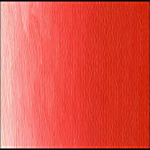 019 – Rouge de Scheveningen écarlate