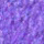 453 - Prince purple