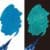 Bleu + Vert