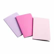 BRUYNZEEL - Lot de 3 carnets A6 assortis